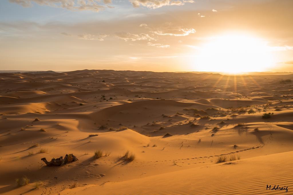 Desert Luxury Camp 메르주가 외부 사진